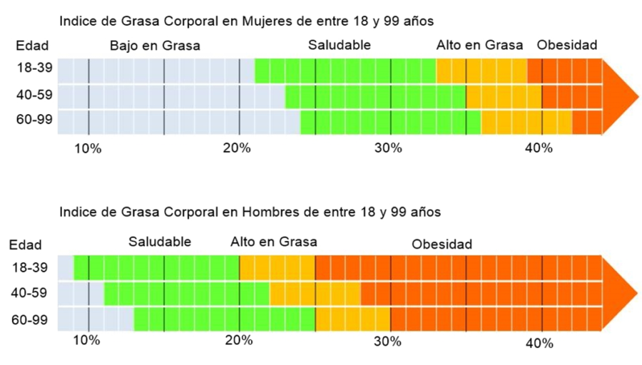 Tratamientos Endoscópicos Para La Obesidad - Instituto De Medicina EGR